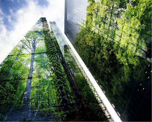 Environmental